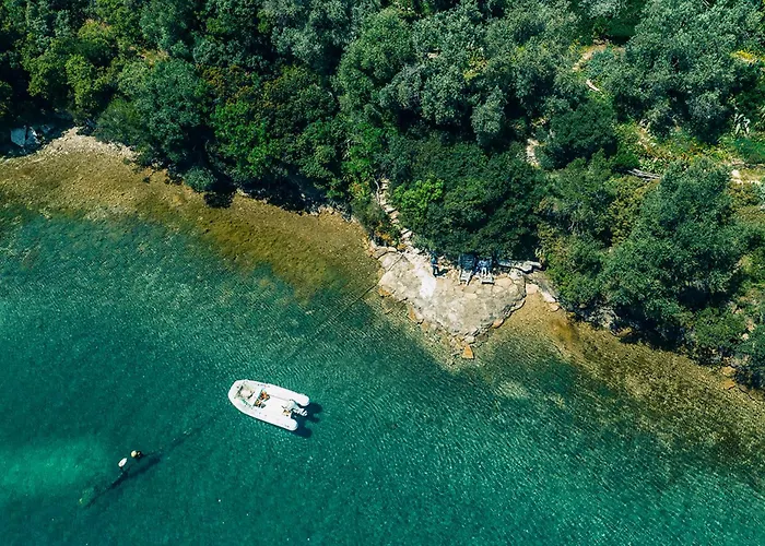 Magical Treehouse Cabin By The Sea With Amazing Views Koukouleika photo