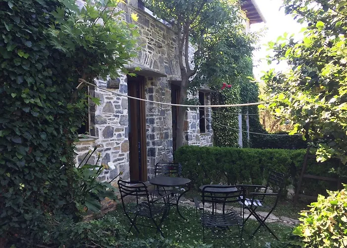 Damouchari Hotel photo